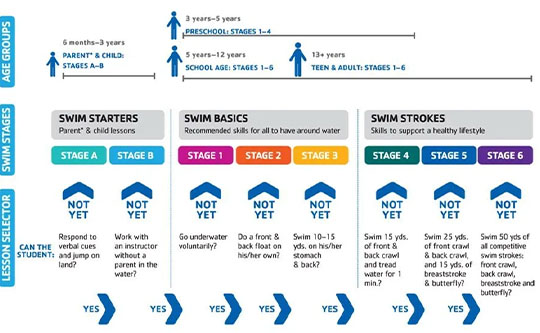 Swim Progression Chart