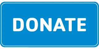 Blue Donate Button